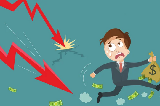 Tỷ giá 'thổi bay' thành quả kinh doanh, một doanh nghiệp báo lãi giảm 47%