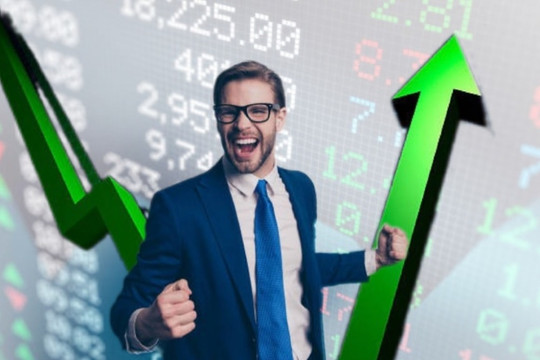 KQKD năm 2025 gây bất ngờ: SHS, VCI, HDC... thắng lớn, xuất hiện CTCK lãi tăng tới 38.900%