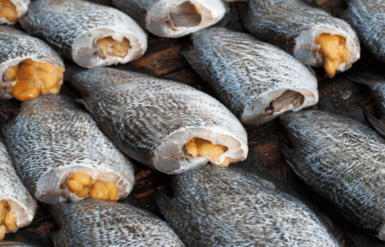 Loại cá mệnh danh là 'gà nước', vừa giúp Việt Nam bỏ túi 99 triệu USD: Mỹ - Brazil 'mê không lối thoát', nước ta có sản lượng 300.000 tấn/năm