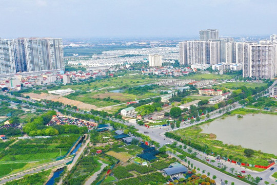 Dự án đầu tư kinh doanh nào phải tổ chức đấu thầu lựa chọn nhà đầu tư?