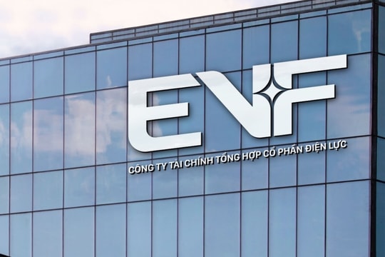 EVF: Khi 'Viên ngọc ẩn mình' phát sáng