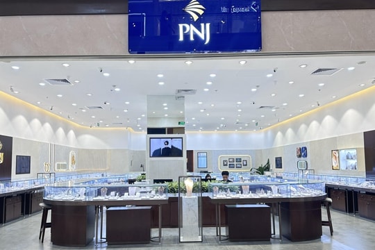 Giá vàng lập đỉnh, doanh thu vàng 24K giảm gần 43%: PNJ vẫn báo lãi cao kỷ lục