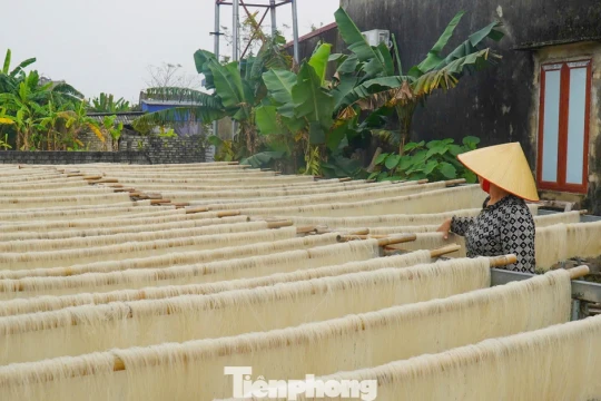 Làng miến gạo trăm năm tuổi nổi tiếng xứ Thanh tất bật vào Tết