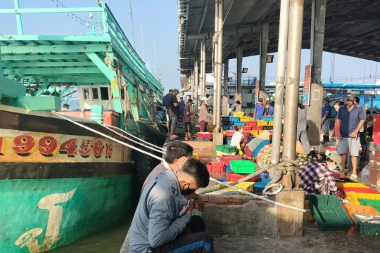 Thanh tra Chính phủ quyết định thanh tra công tác chống IUU ở Cà Mau
