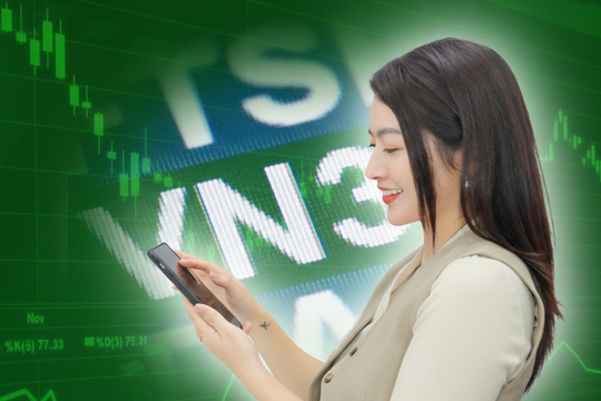 Đảo danh mục VN30 tháng 1/2026: Vốn Nhà nước còn ở đâu trong rổ chỉ số?