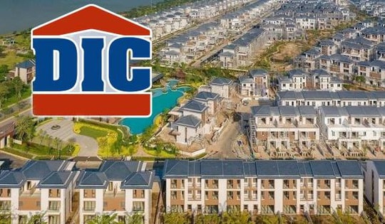 Khu đô thị gần 500ha góp phần mang lại lợi nhuận tăng 400% cho DIC Corp (DIG)