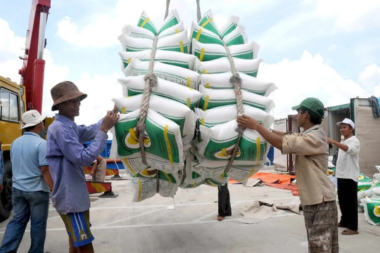 Nhiều thị trường có nhu cầu cao đối với gạo thơm Việt Nam nhưng doanh nghiệp chưa tiếp cận được