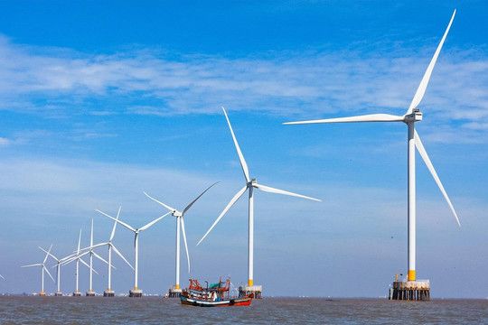 Cà Mau trải thảm mời gọi đầu tư hai dự án điện gió hơn 4.800 tỷ đồng