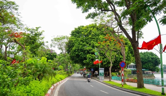 Đề xuất làm mới các tuyến phố trung tâm Hà Nội theo hướng xanh - cảnh quan