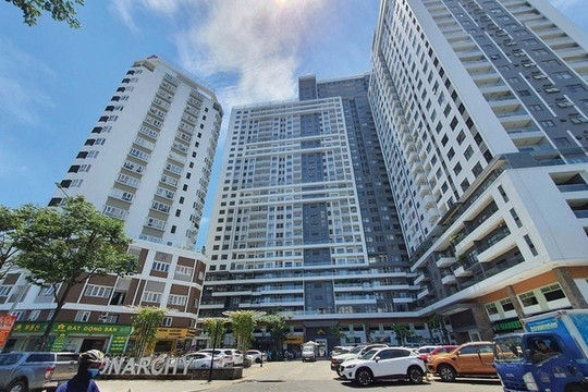 Doanh nghiệp bất động sản rót hàng trăm tỷ đầu tư cổ phiếu, 'hái quả ngọt' nhờ HPG, VHM