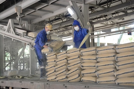 Thua lỗ nhiều năm liên tiếp, công ty xi măng 32 năm tuổi đứng trước nguy cơ bị hủy niêm yết