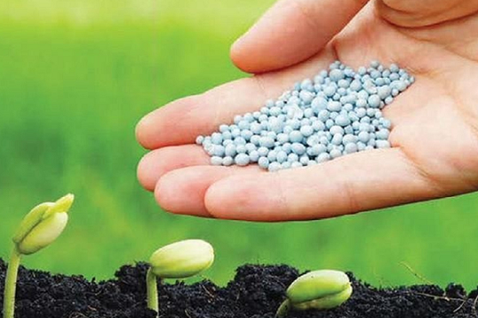Việt Nam chi gần 2,2 tỷ USD mua mặt hàng được ví là 'cứu tinh' cho nông sản