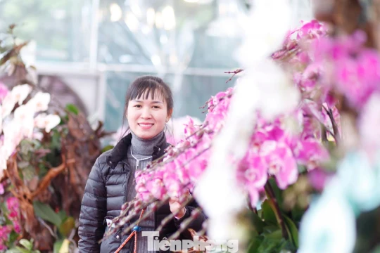 Bỏ hàng tỷ đồng buôn hoa Tết rồi ngóng khách... mất ăn, mất ngủ