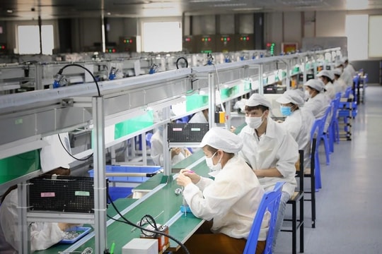 Navigos Group: Hơn 43% lao động Việt Nam đóng BHXH thấp hơn thu nhập thực tế