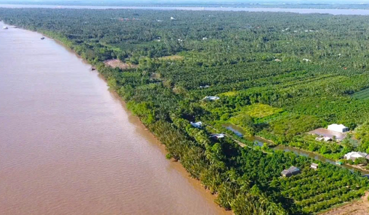 Quy hoạch cù lao được mệnh danh ‘Vương quốc bần’ miền Tây thành trung tâm du lịch sinh thái – nghỉ dưỡng cao cấp