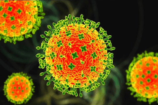 Những điều cần biết về loại virus Nipah nguy hiểm chết người
