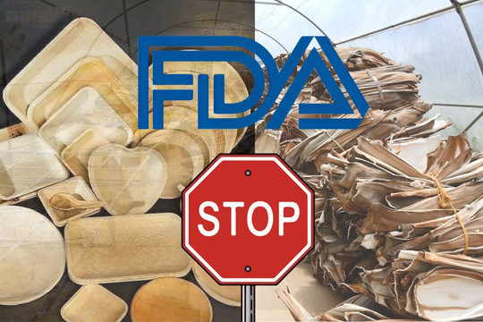 FDA cấm chén đĩa mo cau nhập khẩu vào Mỹ? Sự thật là gì, doanh nghiệp xuất khẩu mo cau Việt cần làm gì để tránh nguy cơ mất trắng