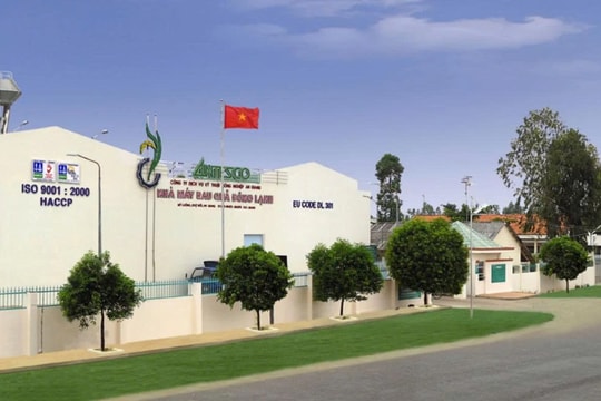 Ông lớn rau quả đông lạnh phía Nam báo lãi cao nhất lịch sử, 'ôm' khối tiền mặt khổng lồ