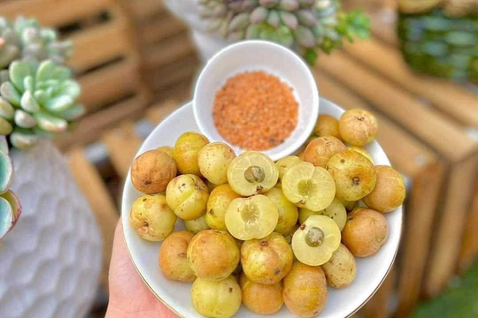 Từ quả rừng bị bỏ quên đến 'hiện tượng chợ mạng': Loại quả này bất ngờ lên ngôi đặc sản, giá tới 500.000 đồng/kg