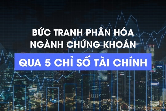 So găng các CTCK: Bức tranh phân hóa ngành chứng khoán qua 5 chỉ số tài chính