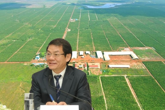 Sau 1 năm nghiên cứu kỹ lưỡng, THACO chính thức đề xuất đầu tư dự án nông nghiệp trên độ cao 1.500m