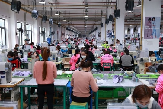 Làm xuyên 9 ngày nghỉ Tết Bính Ngọ, người lao động nhận lương bao nhiêu?