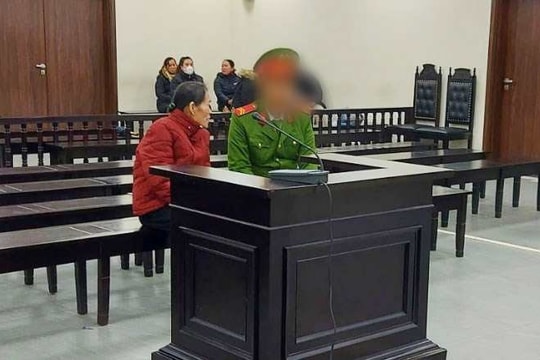 Tuyên phạt nữ giúp việc 72 tuổi 18 năm tù vì vụ án cách đây hơn 20 năm