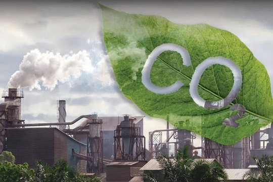 Thị trường tín chỉ carbon lộ diện, doanh nghiệp phát thải lớn đứng trước 'bài toán chi phí mới'