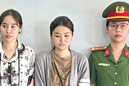 Bắt 8 đối tượng giấu ma túy tại bãi đất trống, ngụy trang trong hộp giấy chứa thức ăn thú cưng để giao dịch liên tỉnh