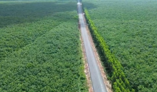 Sắp ‘lên đời’ tuyến đường đi xuyên rừng cao su, nối thông 3 tỉnh thành Đông Nam Bộ
