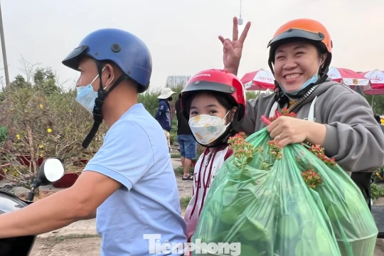 Giá rẻ khó tin: Hoa Tết chỉ 20.000 đồng/chậu ở TPHCM