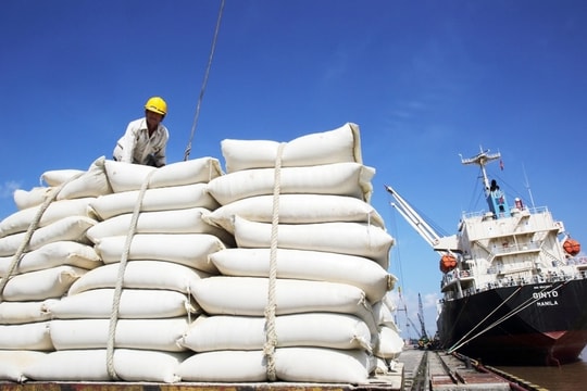 ‘Bạn hàng’ quen của gạo Việt đã tuyên bố tự túc lương thực, trong năm 2026 sẽ xuất khẩu: 1 triệu tấn gạo sẽ đi tới nước nào?