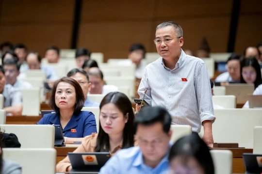 65 người ngoài đảng, 4 người tự ứng cử đại biểu Quốc hội