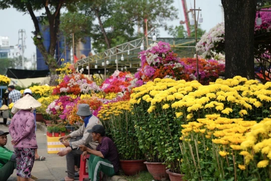 Buồn 'phát khóc' giữa bạt ngàn hoa Tết ở TPHCM