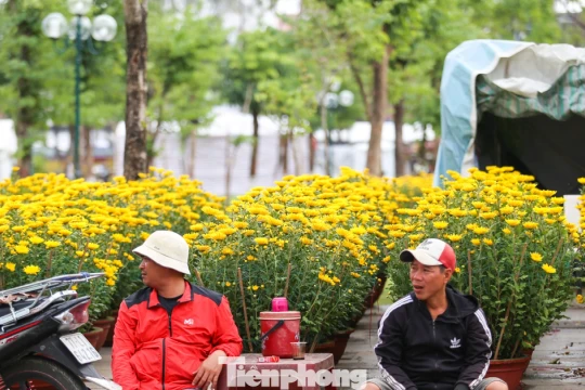 Hoa Tết chất ngập phố, tiểu thương 'đứng ngồi không yên'