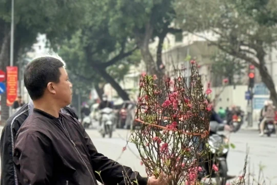 Bộ Tài chính thông tin về giá cả thị trường Tết