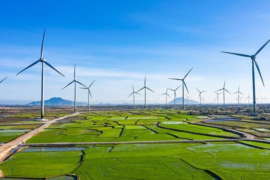 Công ty điện gió của Trung Nam Group tăng vốn lên 685 tỷ đồng