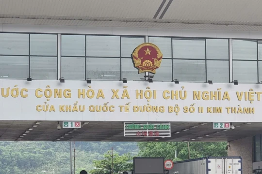 Lô sầu riêng 17 tấn xuất Trung Quốc ngày mùng 1 Tết