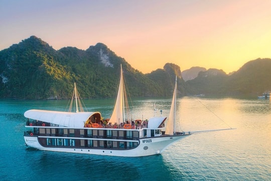 Sáng mùng 1 Tết, 2 siêu du thuyền chở gần 2.400 khách nước ngoài 'xông đất' Quảng Ninh