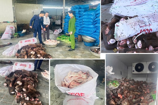 Khám xét hai kho đông lạnh, phát hiện hàng chục bao tải lớn chứa gần 6 tấn hàng hóa, hai người bị mời làm việc