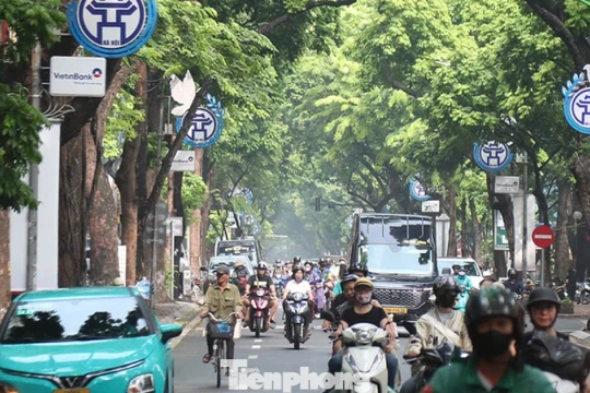 Việt Nam chuyển taxi chạy xăng dầu sang điện: Bài học, kinh nghiệm các nước thế nào?
