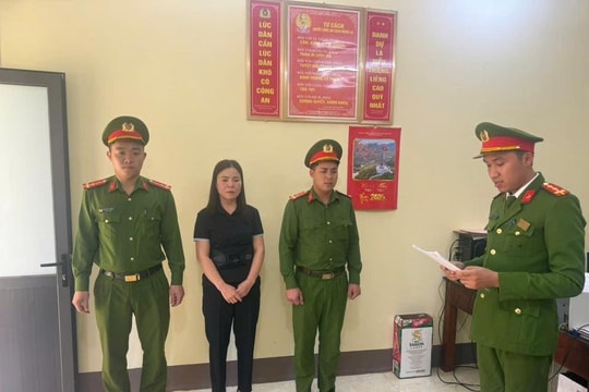 Khởi tố Vũ Thị Bích Ngọc sinh năm 1975