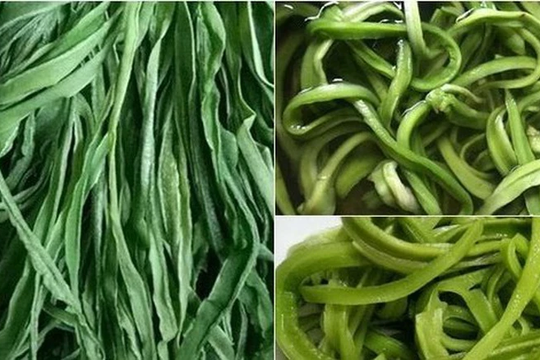 4 thứ rau 'quý như vàng' của Việt Nam, có tiền chưa chắc đã mua được: Có loại chạm mốc cả triệu đồng/kg