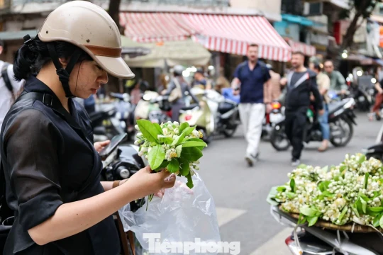 Hoa bưởi ngập phố Hà Nội, giá 'chát' vẫn đắt hàng