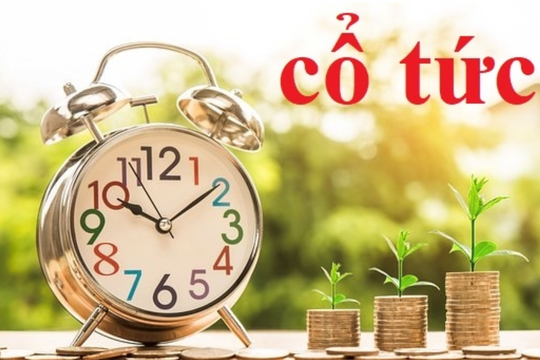 Lãi lớn, một doanh nghiệp thuỷ điện chốt chi 157 tỷ đồng tạm ứng cổ tức tỷ lệ 10%