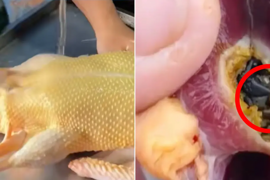 Mổ vịt làm thịt, người đàn ông ngỡ ngàng phát hiện 10g vàng thật trong bụng
