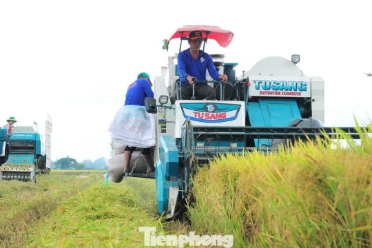 Bất ngờ Đề án 1 triệu ha lúa chất lượng cao, phát thải thấp