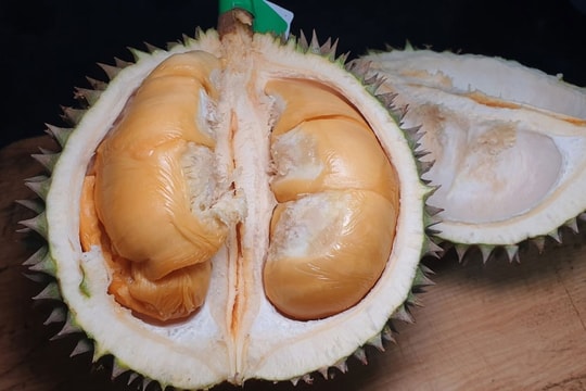 Sốt loại sầu riêng 2 triệu đồng/trái vẫn được khách Việt săn lùng: Ăn một miếng như được 'dát vàng' vị giác
