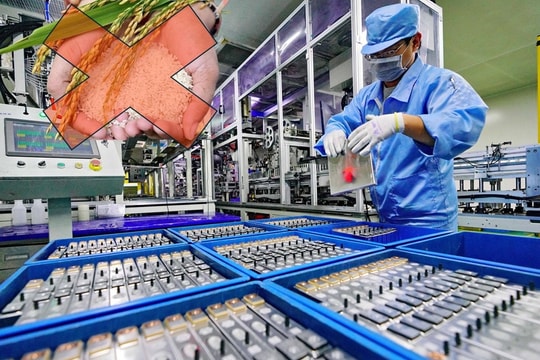 Buôn gạo gặp khó khăn, một doanh nghiệp rót 200 tỷ đồng làm pin lithium xuất khẩu sang Mỹ