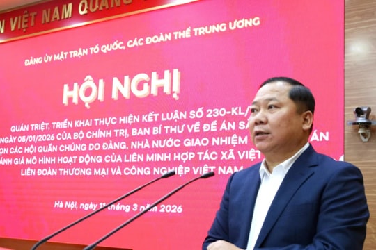 Triển khai Kết luận 230 của Bộ Chính trị, Ban Bí thư về sắp xếp các hội quần chúng